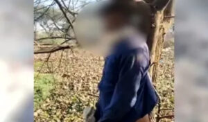 महिला की हत्या, फिर पेड़ से लटकती मिली आरोपी लाश, हाथों में बंधी रस्सी ने खोला खौफनाक राज़