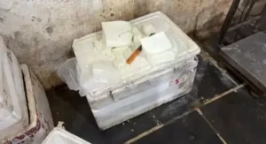 पनीर फैक्ट्री पर खाद्य विभाग का छापा, फैक्ट्री सील…