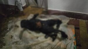 दिल दहला देने वाली घटना… जमीन विवाद में भाई बना हैवान, बड़े भाई को जिंदा जलाया