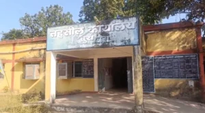 पटवारी पर रिश्वत मांगने का आरोप, वायरल ऑडियो-वीडियो से मचा हड़कंप, तहसीलदार-RI को नोटिस जारी