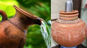 नया मटका खरीदा है, अंदर हाथ डालकर धोने की गलती कभी न करें; जान लीजिए इसका सही तरीका…