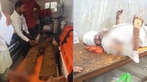 तेंदूपत्ता तोड़ाई में खतरा! भालुओं के हमले से 2 ग्रामीण घायल