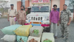 अवैध गांजा तस्करी के खिलाफ बड़ी कार्रवाई: उड़ीसा से महाराष्ट्र जा रही 1.14 करोड़ का गांजा जब्त…