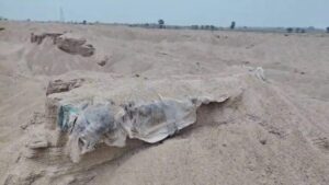 CG NEWS: कब्रों तक पहुंच गए रेत माफिया! अवैध खनन से बाहर आए मानव अवशेष