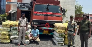 CG News : 600 किलो गांजा के साथ तस्कर गिरफ्तार, मशीनरी के कार्टूनों में छिपाकर ले जा रहा था महाराष्ट्र