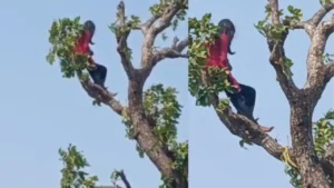 मोबाइल की जिद में पेड़ पर चढ़ी मासूम, ‘पुलिस अंकल’ की समझाइश से टला बड़ा हादसा