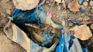 सर्चिंग के दौरान जवानों को मिला 5 किलो का प्रेशर कुकर IED