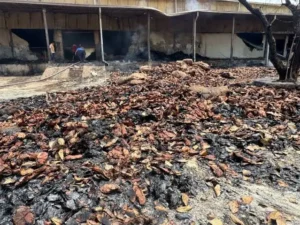 तेंदूपत्ता अग्निकांड में DFO ने लिया एक्शन, 2 फॉरेस्ट गार्ड सस्पेंड