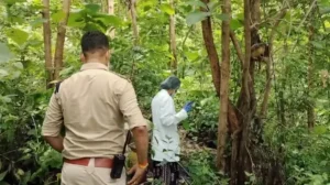 महामाया पहाड़ पर पेड़ से लटका मिला युवती का कंकाल, पहचान में जुटी पुलिस…