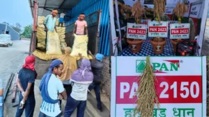 बीज कारोबार में बड़ी गड़बड़ी: कृषि विभाग ने रद्द किया लाइसेंस…