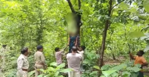 जंगल में पेड़ से लटके मिले जीजा-साली के शव, दो महीने पहले हुई थी दूसरी शादी, आत्महत्या के कारणों की जांच जारी….