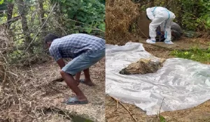 रक्षाबंधन पर मायके जाने को लेकर विवाद, पति ने हत्या कर सेप्टिक टैंक में छिपाई पत्नी की लाश