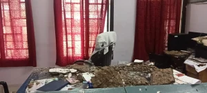 पाटन तहसील कार्यालय में टला बड़ा हादसा! तहसीलदार की कुर्सी पर आ गिरा छत का प्लास्टर, बाल-बाल बची जान…